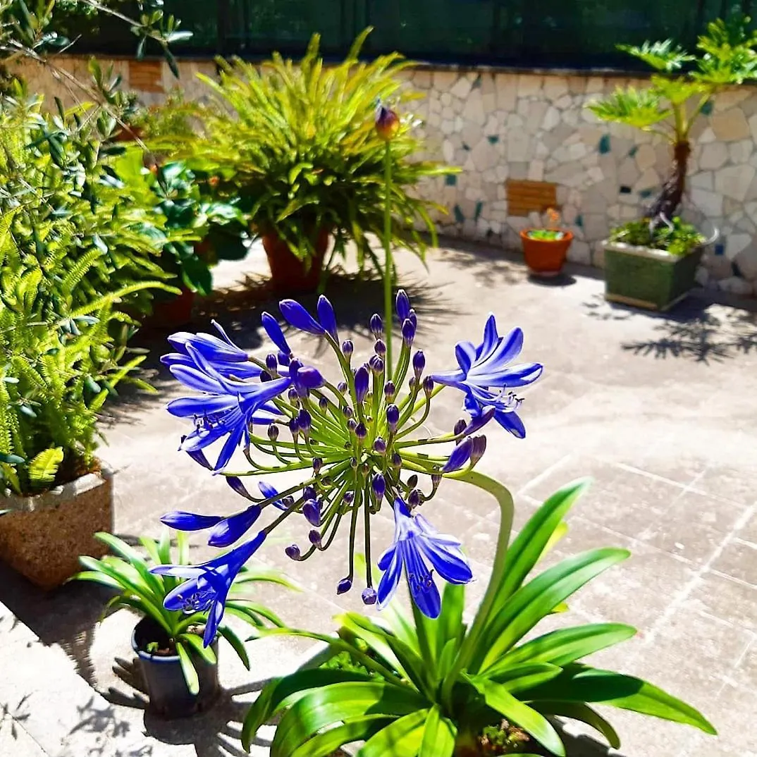 Le Tare B&B Roma 3*,