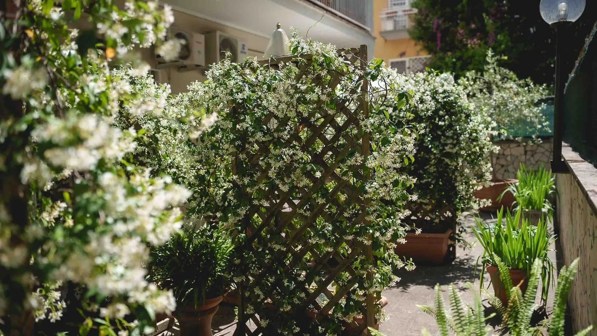 Le Tare B&B Roma Bed and breakfast